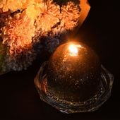 ή�������ɥ� MIDNIGHT | �ʥ��ȥ֥��� �ե��쥹�ȥҡ���󥰤ι��