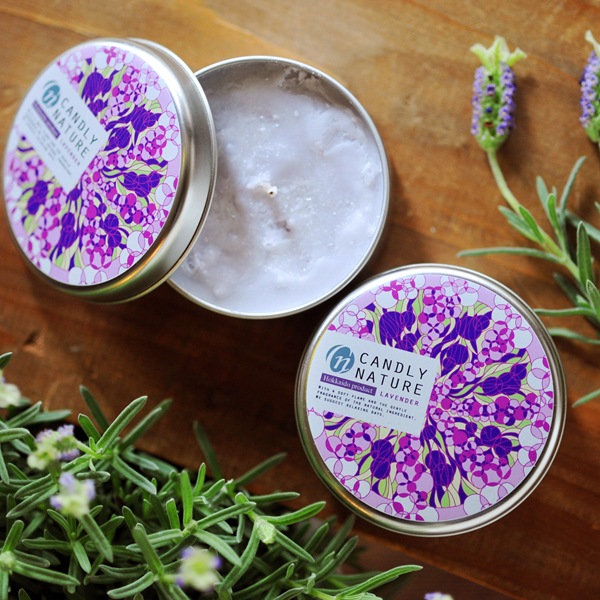 �̳�ƻŷ�������ޥ����ɥ�ʴ̡�/��٥����