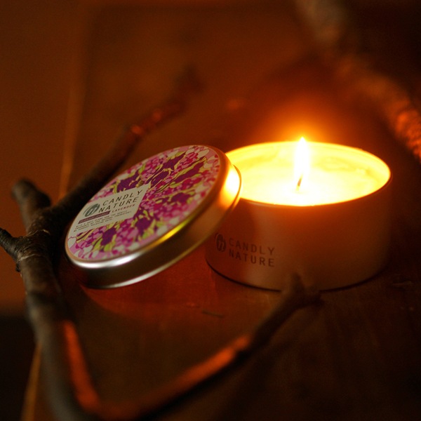 �̳�ƻŷ�������ޥ����ɥ�ʴ̡�/��٥����