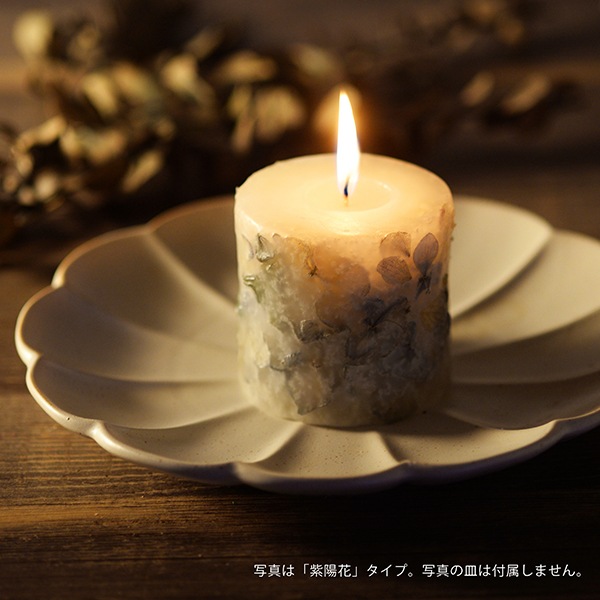 BOTANICAL CANDLE �û��۲֥�����