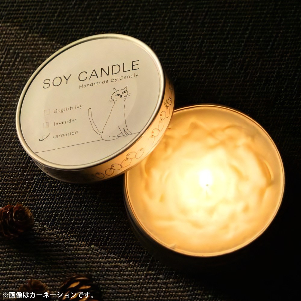 SOY CANDELʴ̡