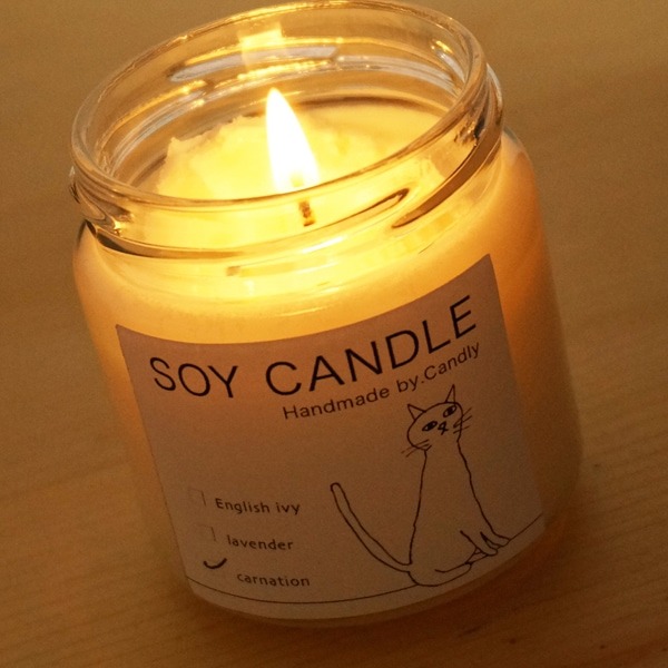 SOY CANDLE���ӡ�