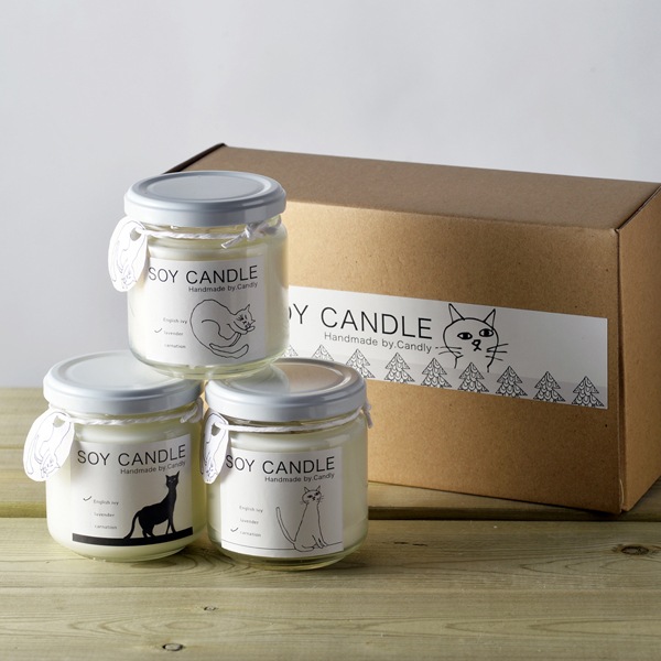 SOY CANDEL ��3��SET