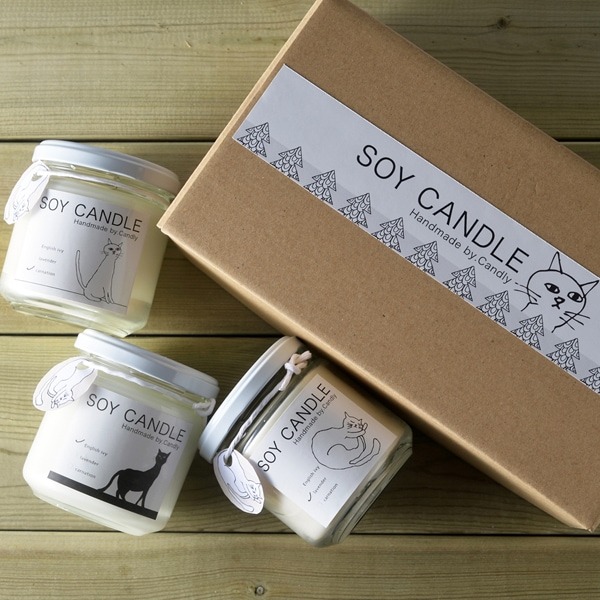 SOY CANDEL ��3��SET