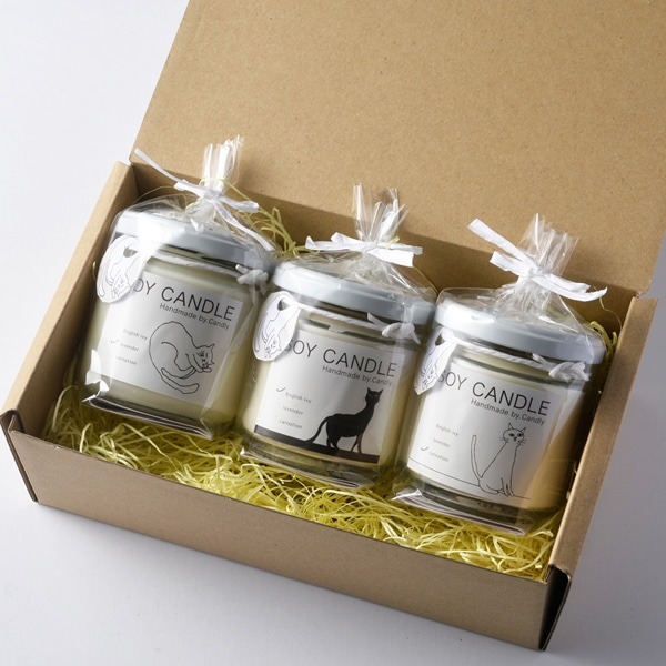 SOY CANDEL ��3��SET
