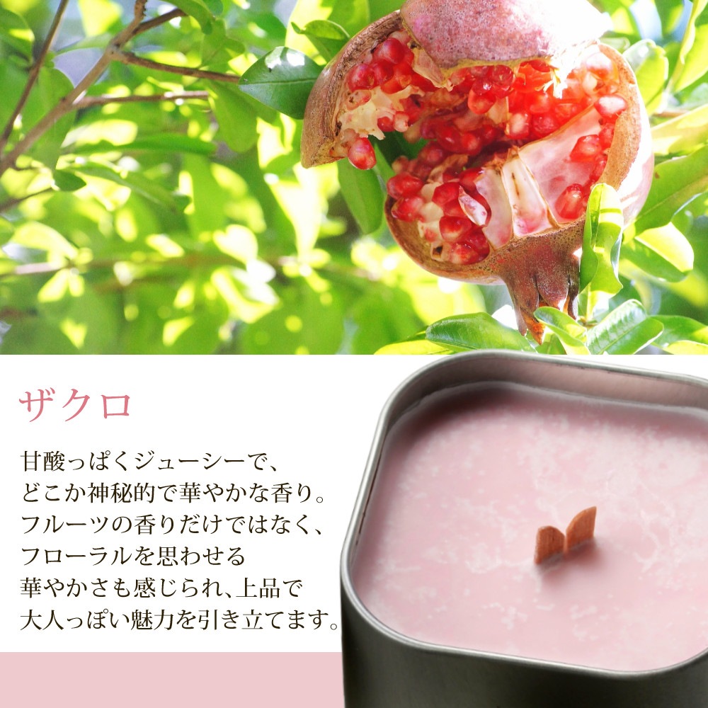 ե쥰 PACHITTOʾʲС | ڿĤΥɥ