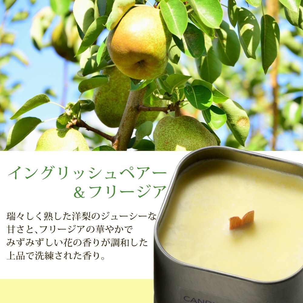 ե쥰 PACHITTOʾʲС | ڿĤΥɥ