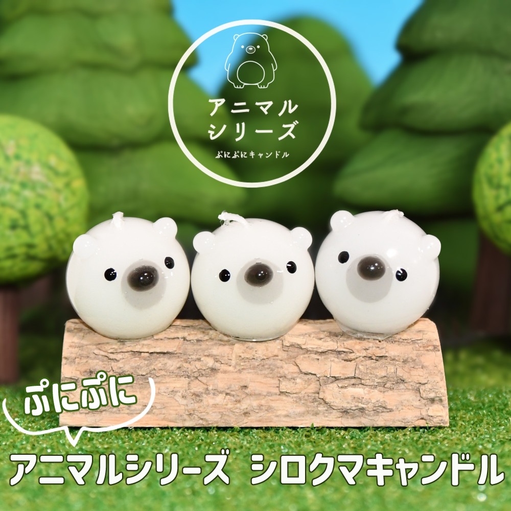 פˤפ˥CANDLE | ϤߤĥХ˥ι