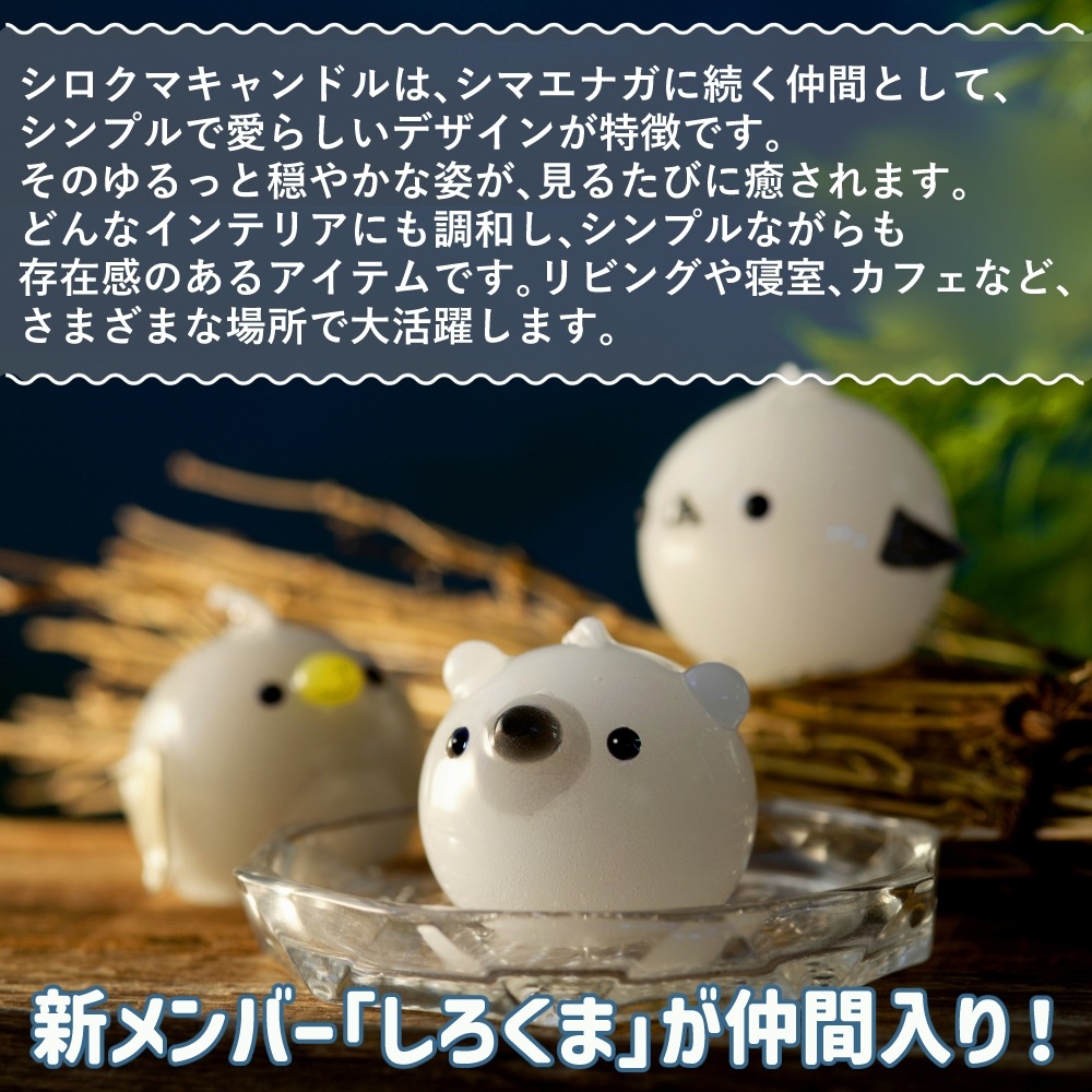 פˤפ˥CANDLE | ϤߤĥХ˥ι