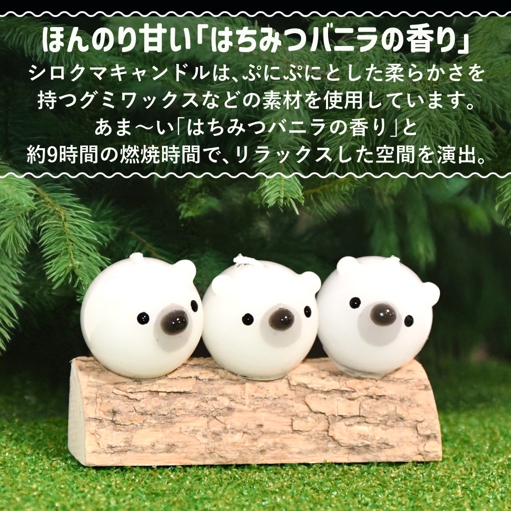 פˤפ˥CANDLE | ϤߤĥХ˥ι