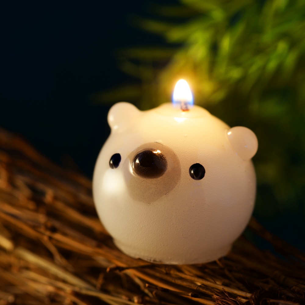 פˤפ˥CANDLE | ϤߤĥХ˥ι