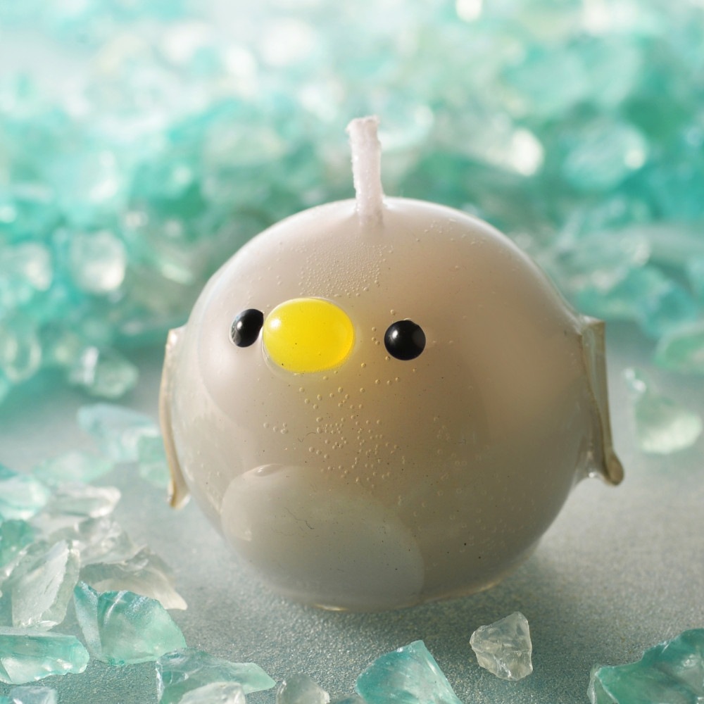 פˤפ˥ڥ󥮥CANDLE | 饺٥꡼㡼٥åȤι