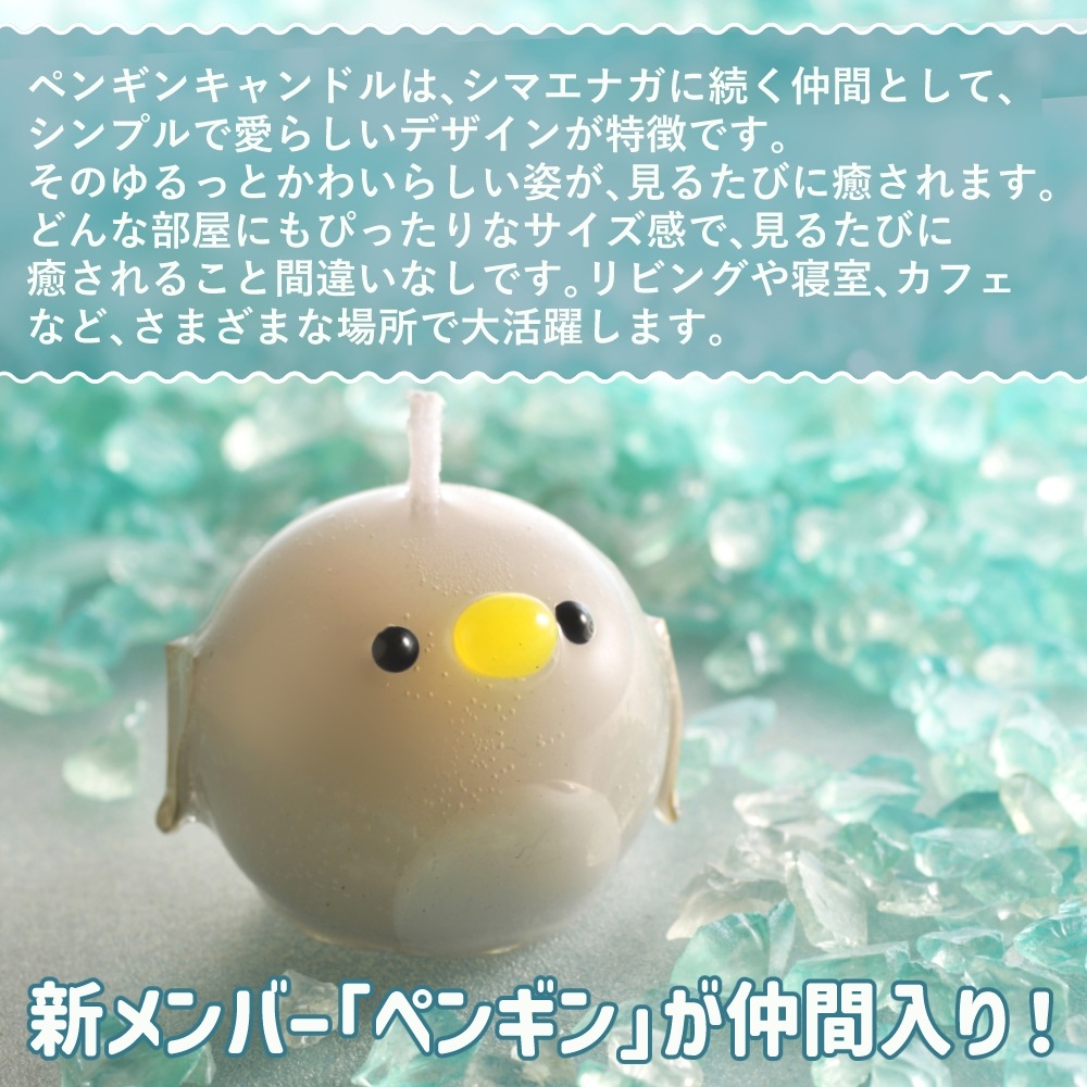 פˤפ˥ڥ󥮥CANDLE | 饺٥꡼㡼٥åȤι