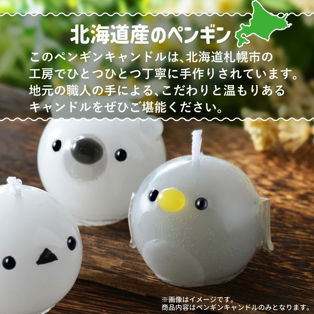 פˤפ˥ڥ󥮥CANDLE | 饺٥꡼㡼٥åȤι