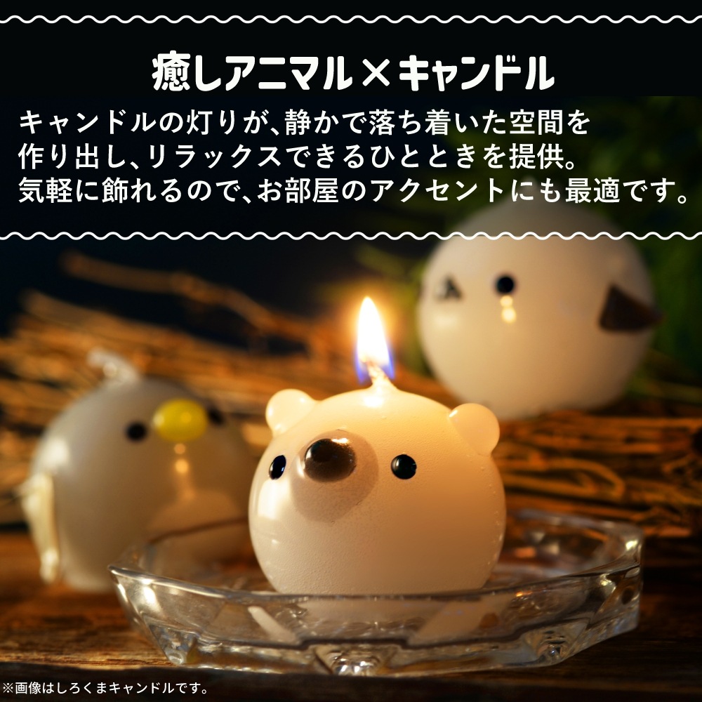 פˤפ˥ڥ󥮥CANDLE | 饺٥꡼㡼٥åȤι