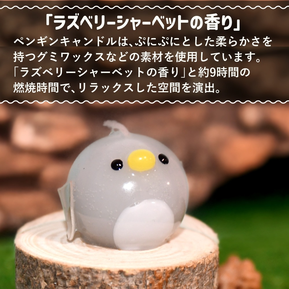 פˤפ˥ڥ󥮥CANDLE | 饺٥꡼㡼٥åȤι