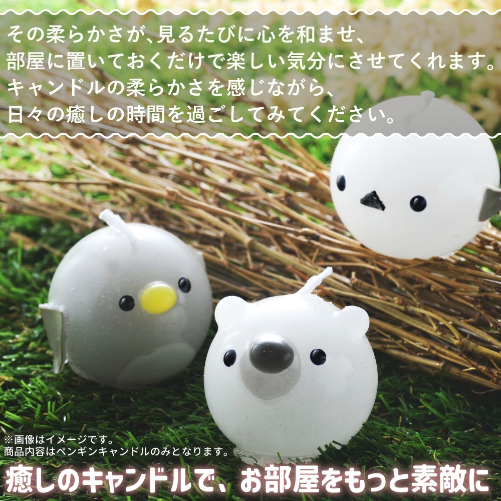 פˤפ˥ڥ󥮥CANDLE | 饺٥꡼㡼٥åȤι