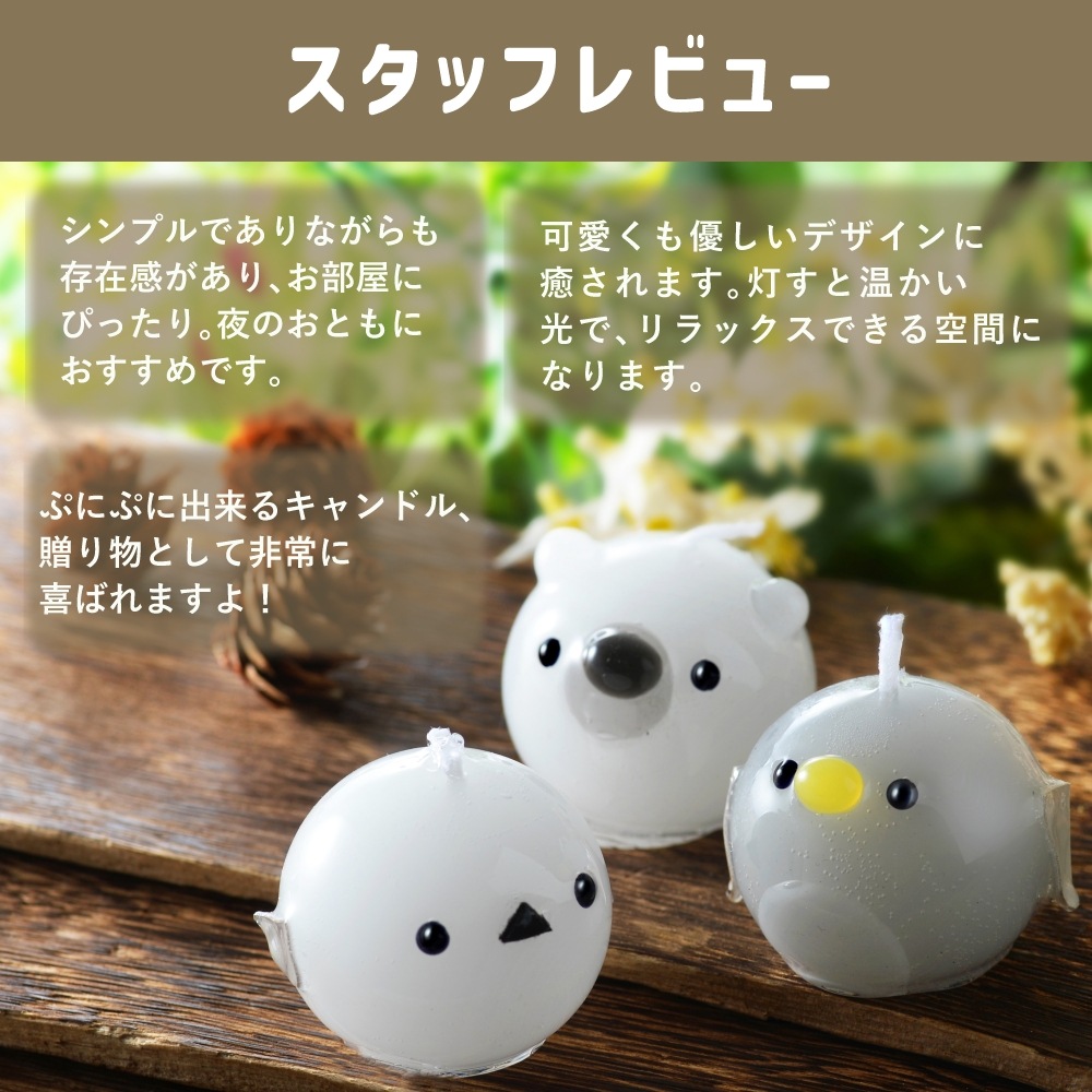 פˤפ ˥ޥ륭ɥ 3å | ޥʥ ڥ󥮥 