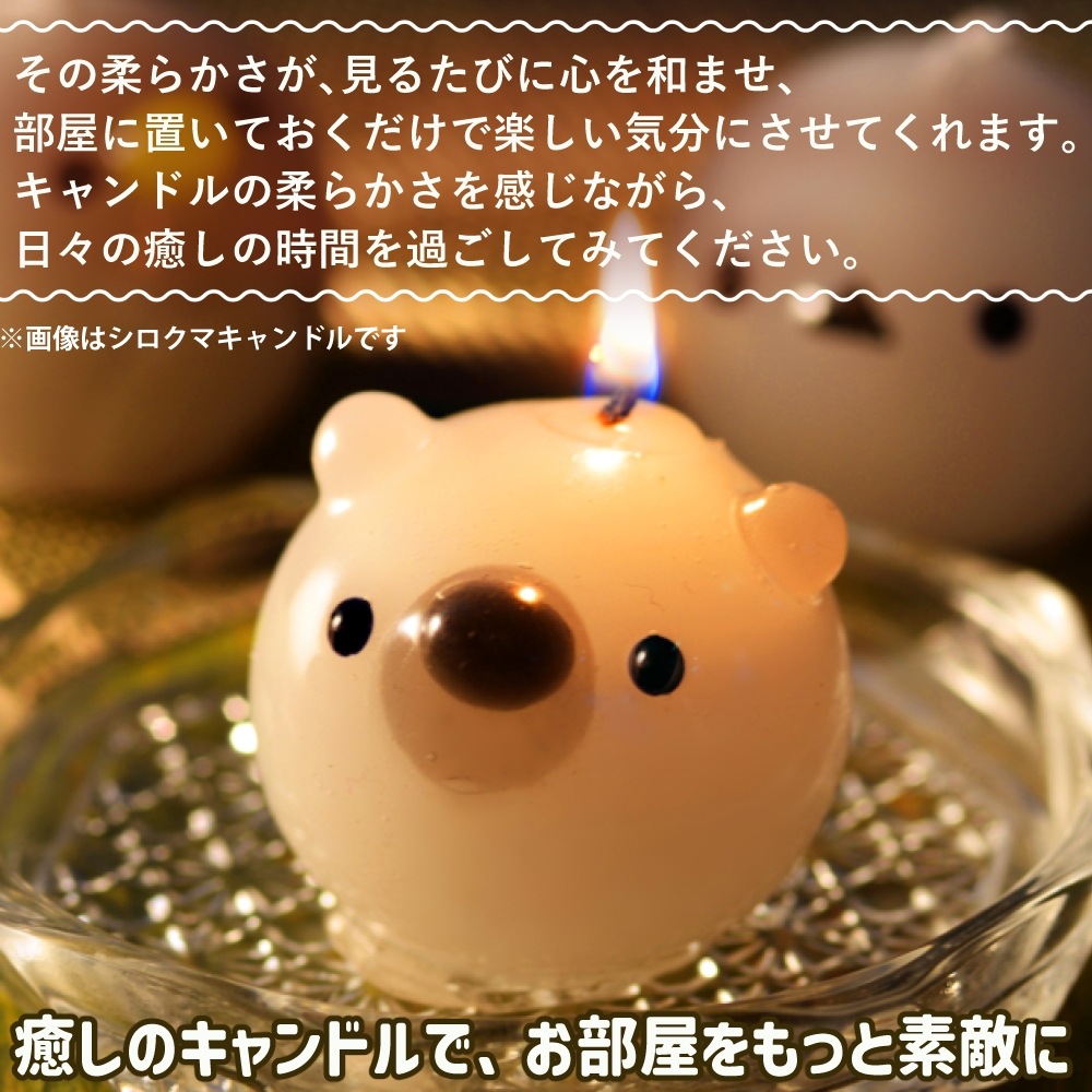 פˤפ ˥ޥ륭ɥ 3å | ޥʥ ڥ󥮥 