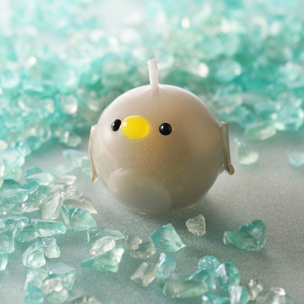 פˤפ ˥ޥ륭ɥ 3å | ޥʥ ڥ󥮥 