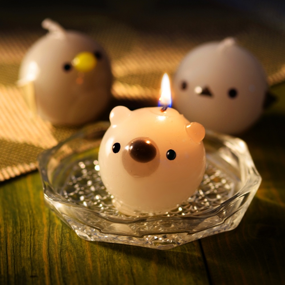 פˤפ ˥ޥ륭ɥ 3å | ޥʥ ڥ󥮥 