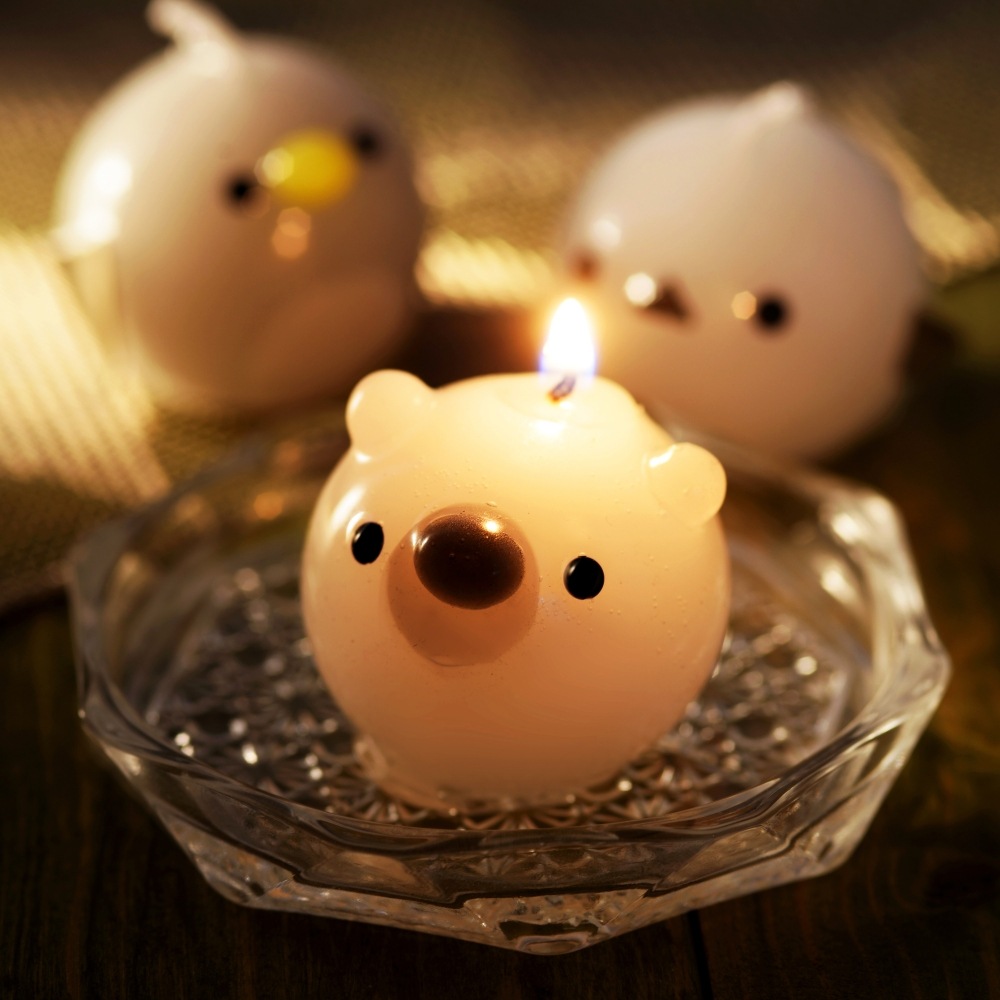 פˤפ ˥ޥ륭ɥ 3å | ޥʥ ڥ󥮥 