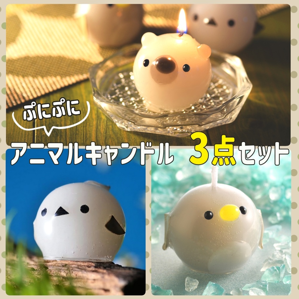 פˤפ ˥ޥ륭ɥ 3å | ޥʥ ڥ󥮥 