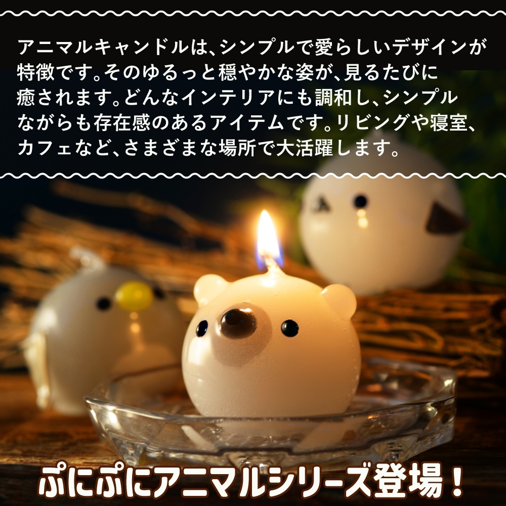 פˤפ ˥ޥ륭ɥ 3å | ޥʥ ڥ󥮥 