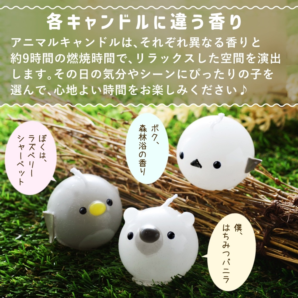 פˤפ ˥ޥ륭ɥ 3å | ޥʥ ڥ󥮥 