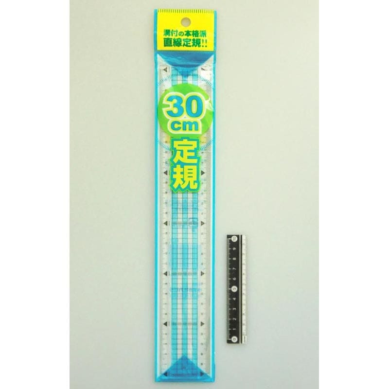 読み取り定規 30cm