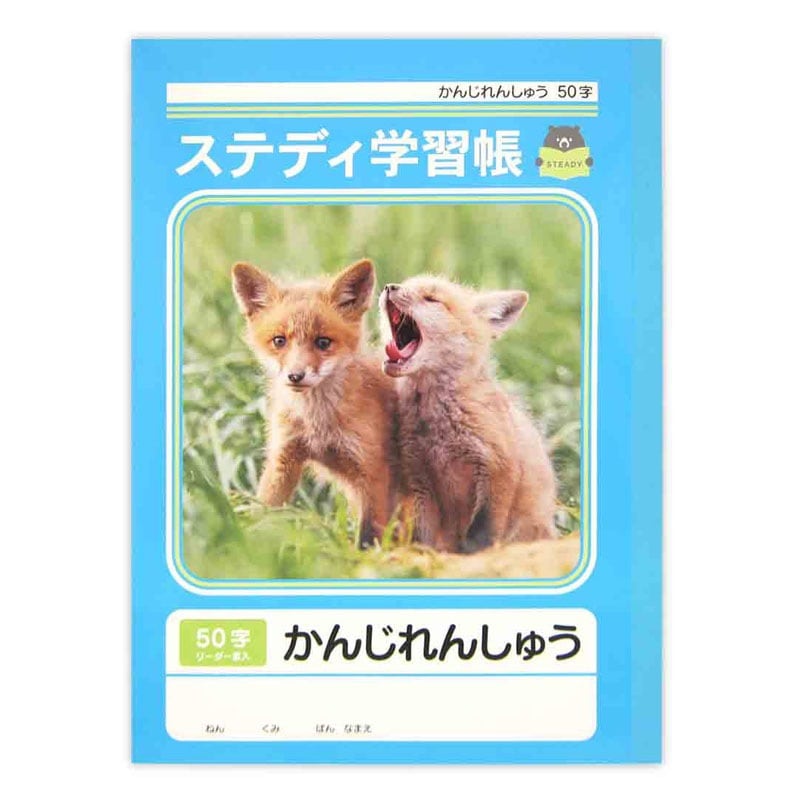 ステディ学習帳かんじれんしゅう５０字４０