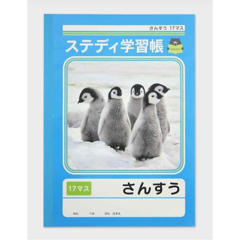 ステディ学習帳　さんすう　１７マス４０枚