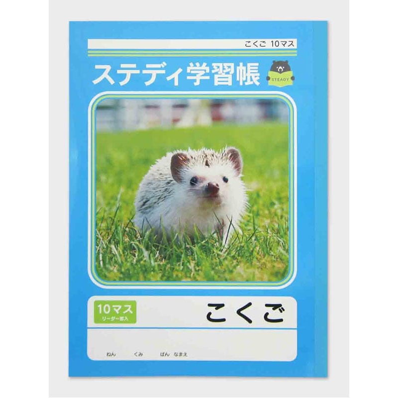 ステディ学習帳　こくご　１０マス　４０枚