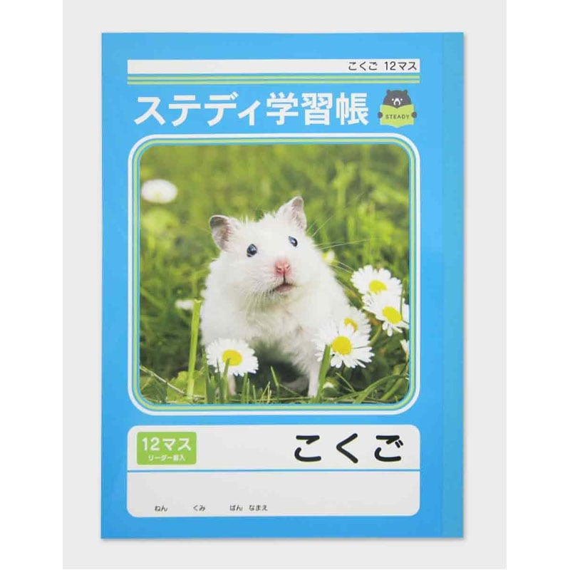 ステディ学習帳 こくご 12マス 40枚