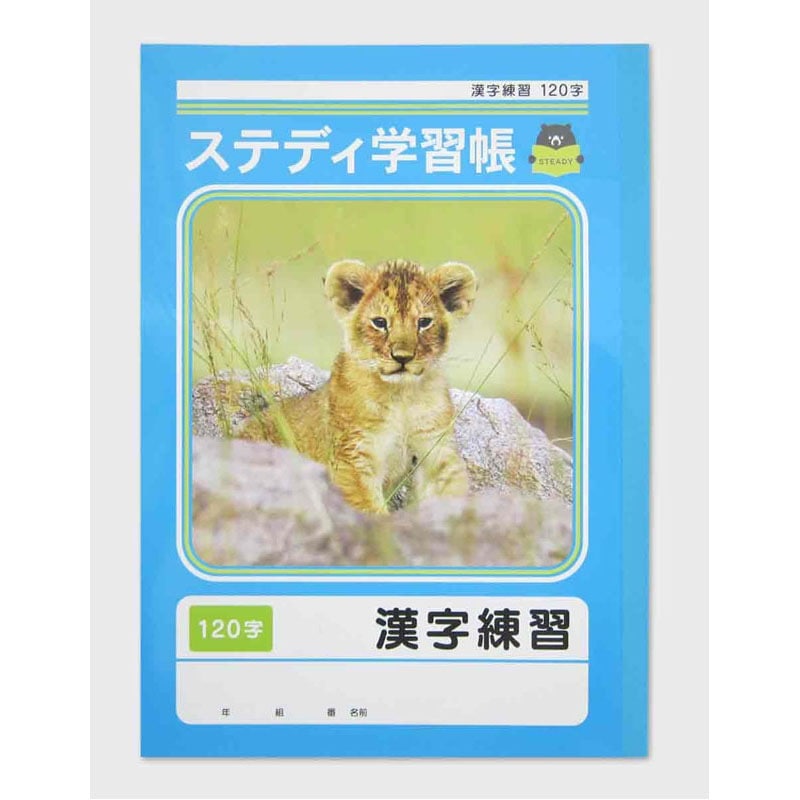 ステディ学習帳　漢字練習　１２０字４０枚