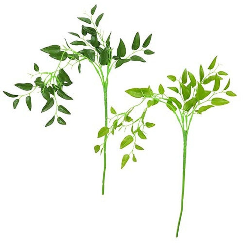 ＩＧスマイラックス