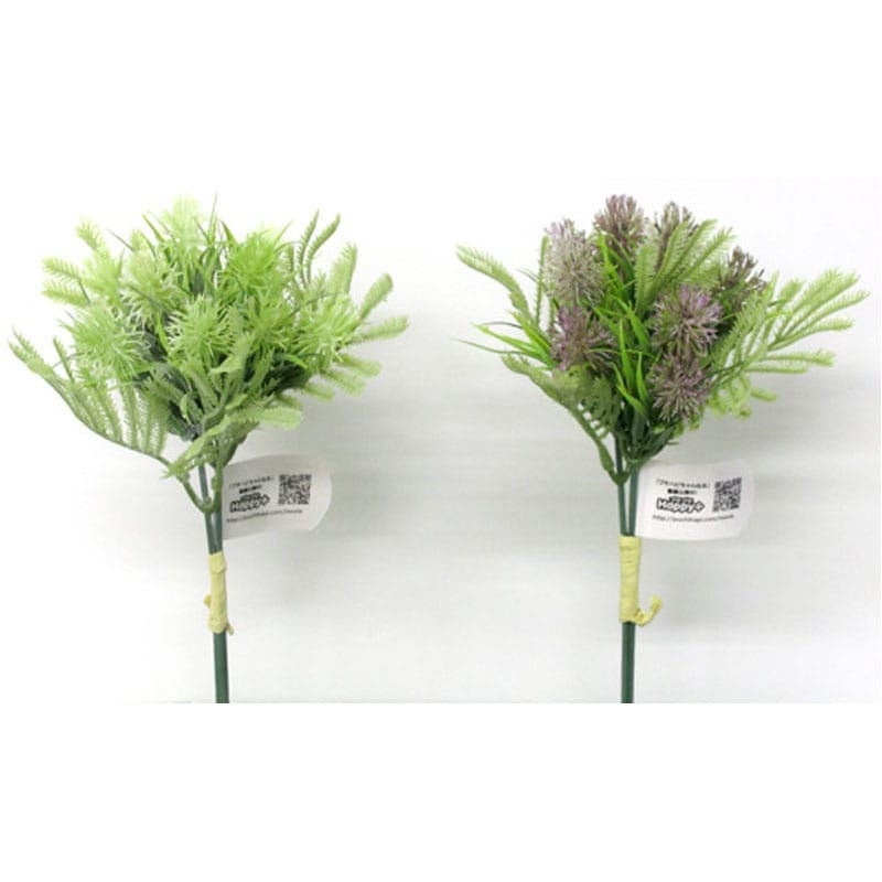 ポンポンベリーバンチ