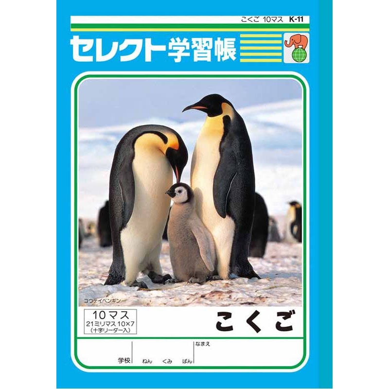 B5こくご10マス(十字リーダー)K11