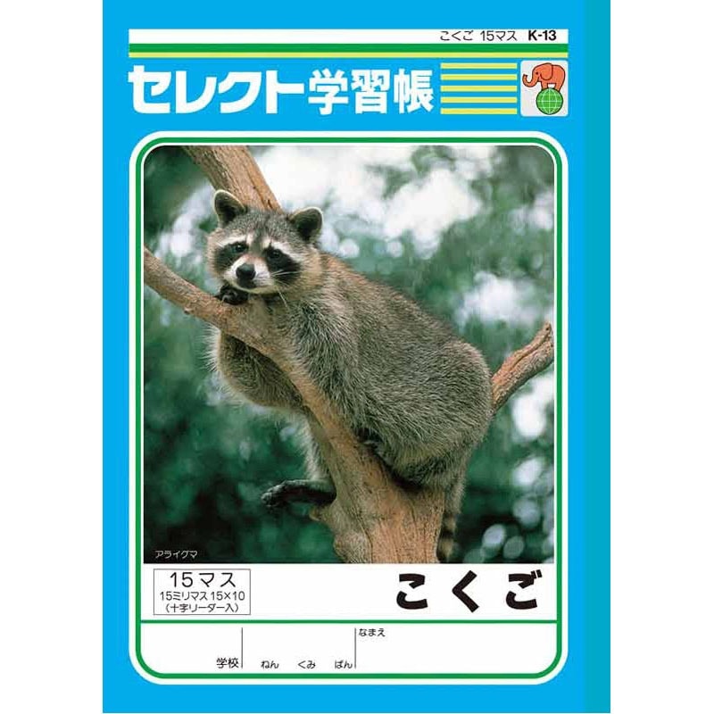 B5こくご15マス（十字リーダー）K13【公式】≪1個からお届け