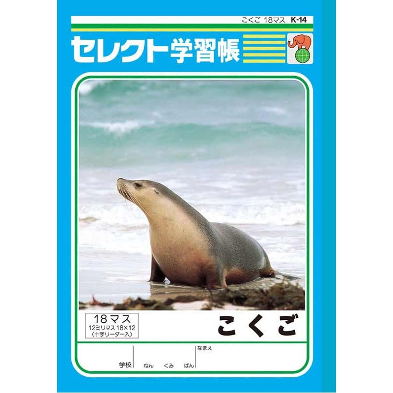 B5こくご18マス K14【公式】≪1個からお届け≫Can☆Doネット