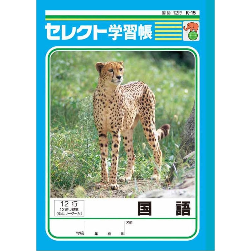 Ｂ５国語１２行　Ｋ－１５