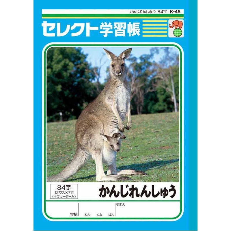 B5かんじれんしゅう84字 K45