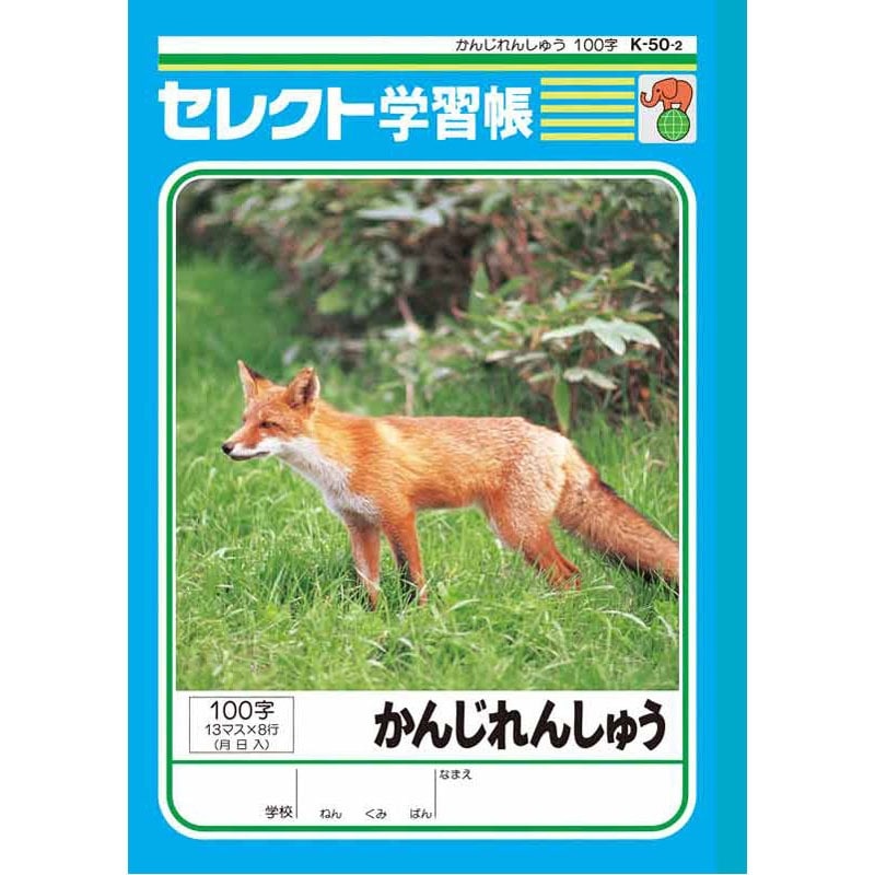 かんじ 505ZXX レギュラーストレート デニムパンツ ジーンズ セットアップ