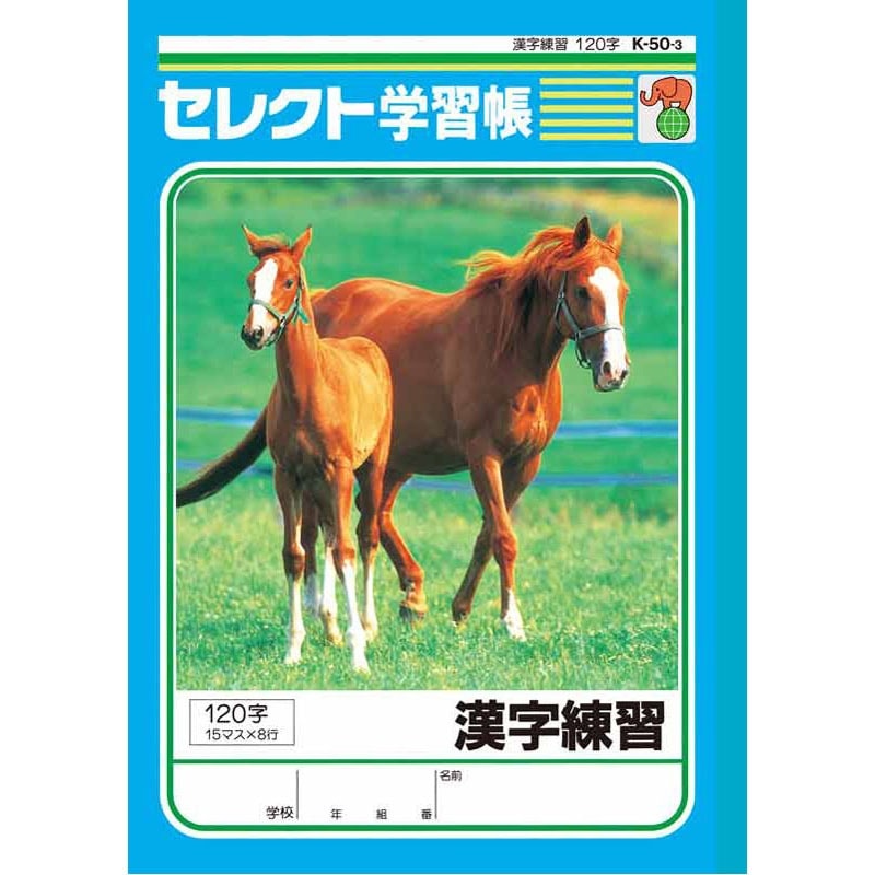 B5漢字練習120字 K503