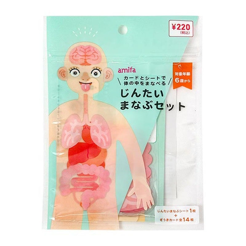 じんたいまなぶセット