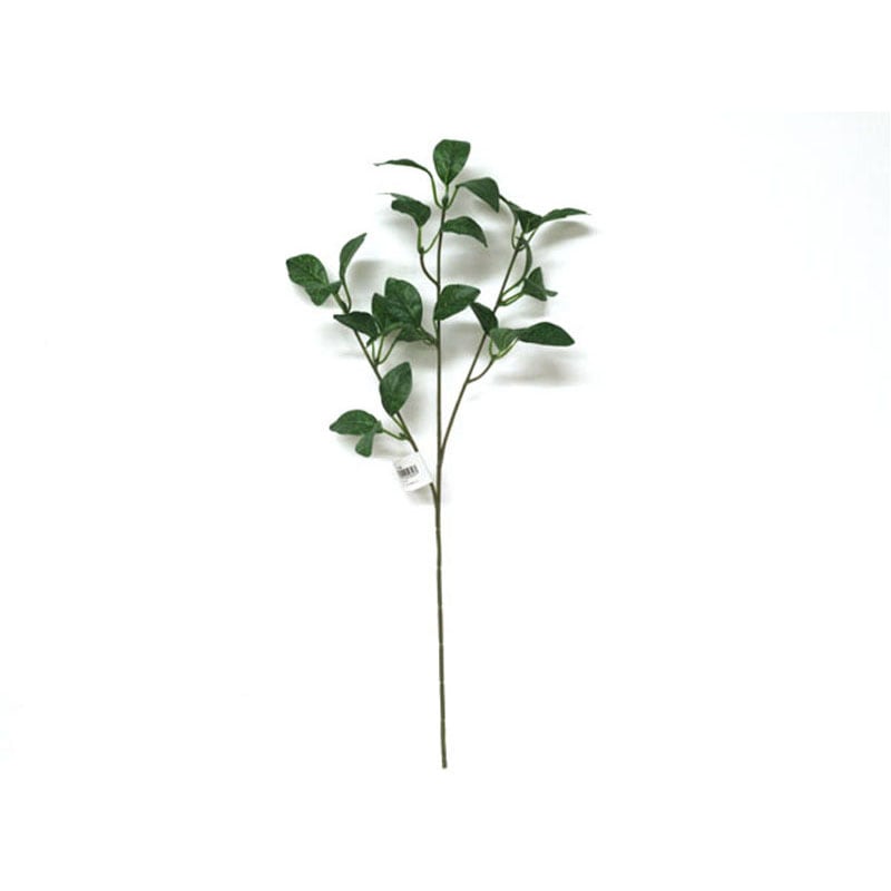 リーフ　スプレー