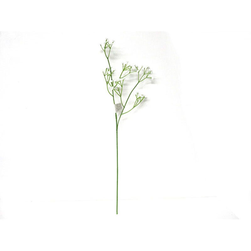 プラカスミ　スプレー