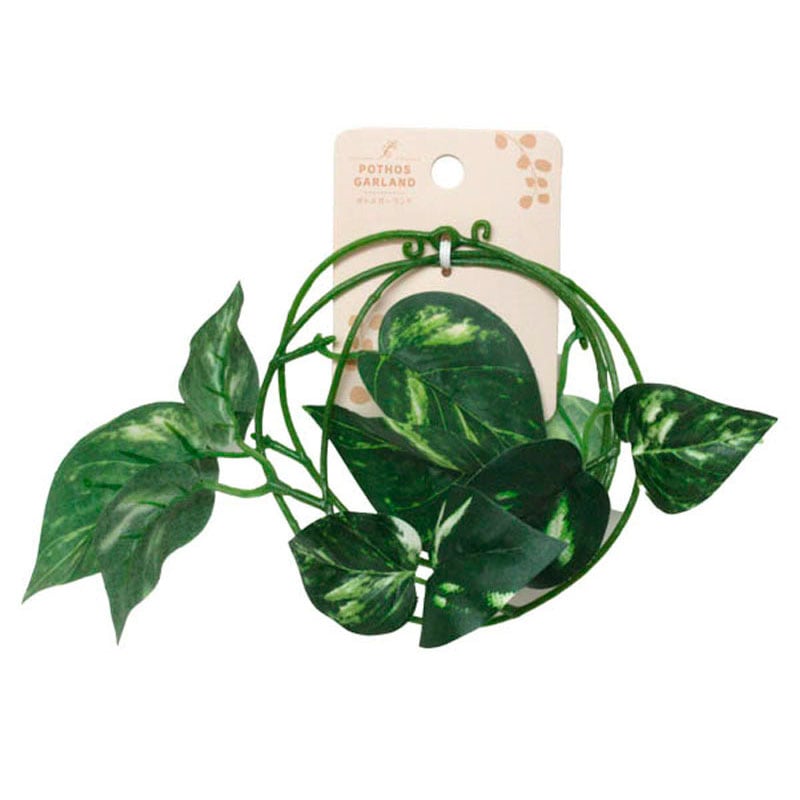 ポトスガーランド