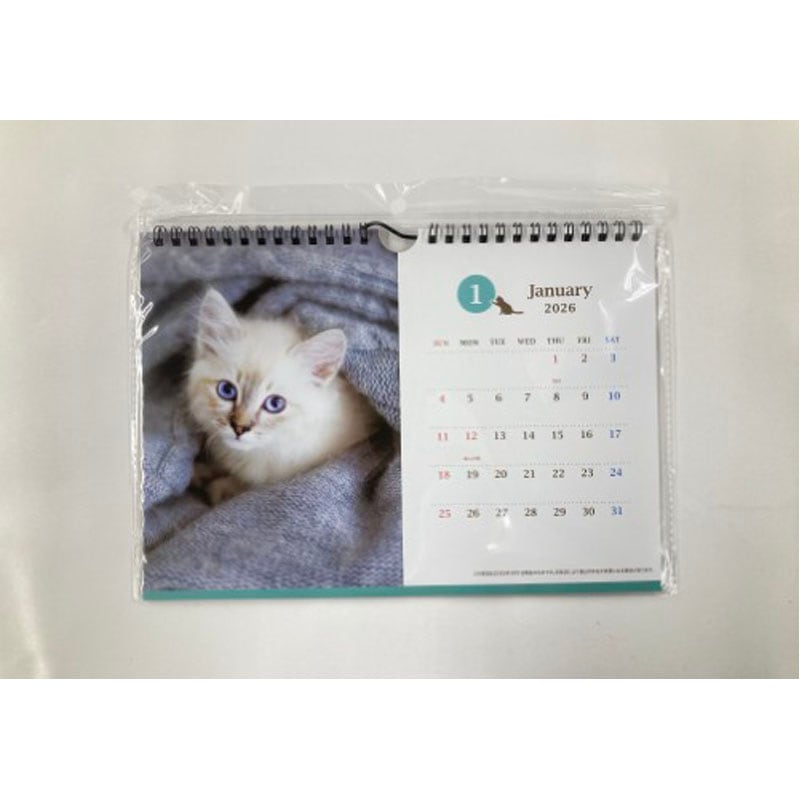 26 B5カレンダー ネコ