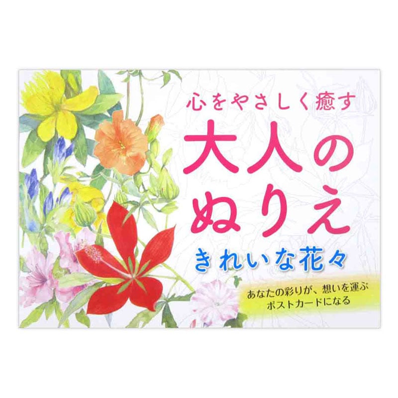 大人の塗りえ きれいな花々